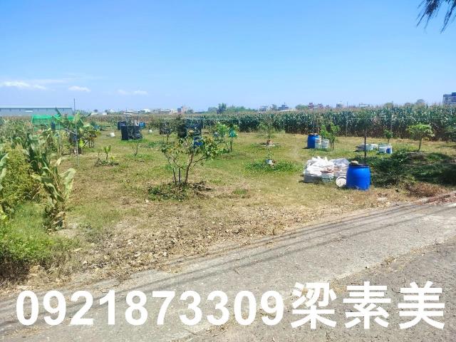 台南農地-6