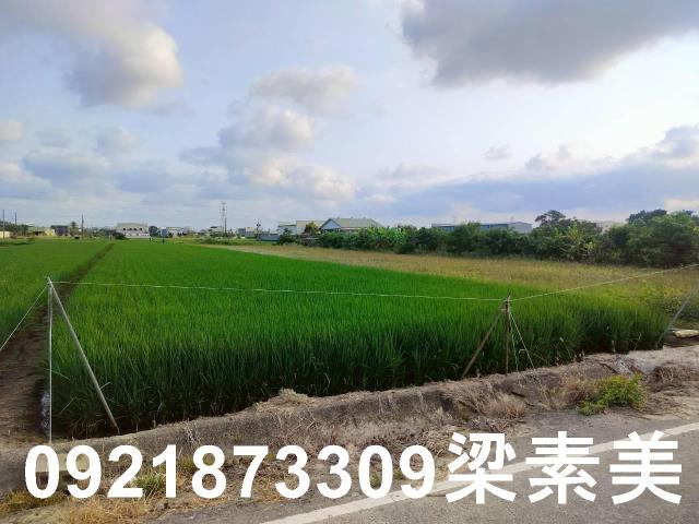 台南農地-4