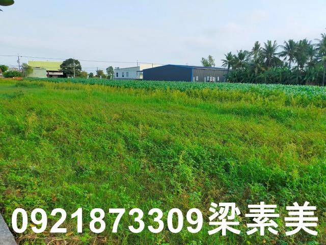 台南農地-10