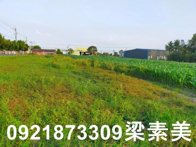 台南農地-14