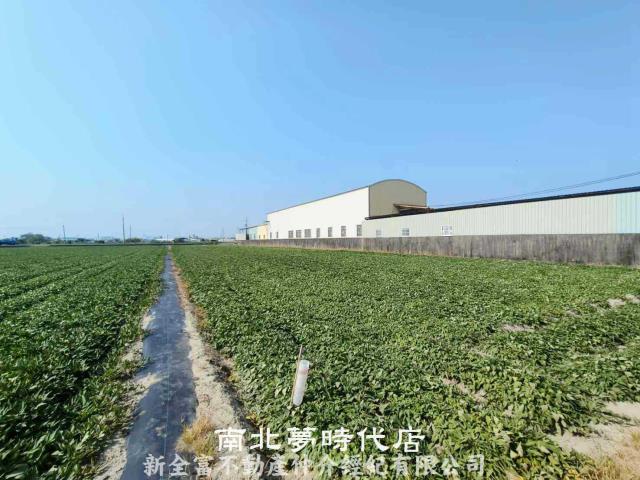 台南新市農地-1