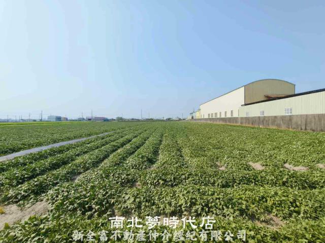 台南新市農地-2