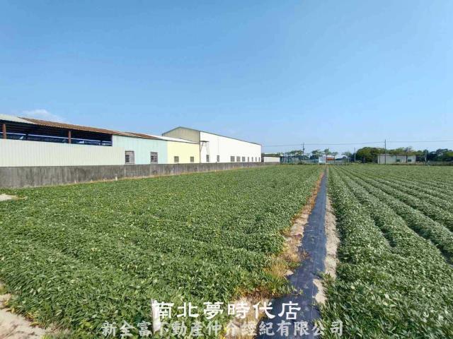 台南新市農地-4