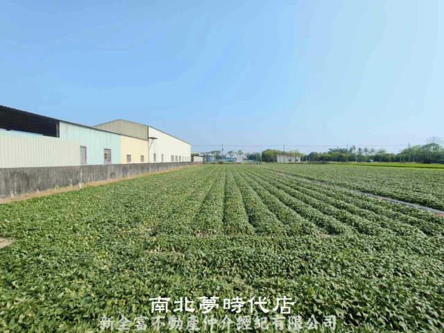 台南新市農地-5