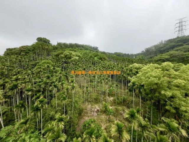 草屯農地-10