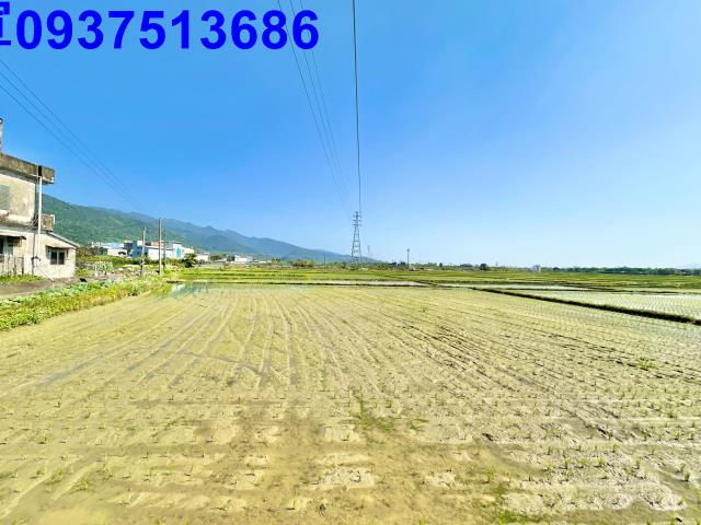 宜蘭頭城農地-2