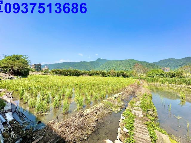 宜蘭頭城農地-13