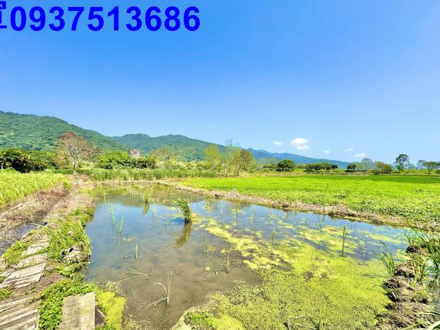 宜蘭頭城農地-1