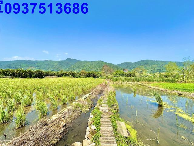 宜蘭頭城農地-8