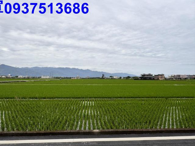 宜蘭壯圍農地-12