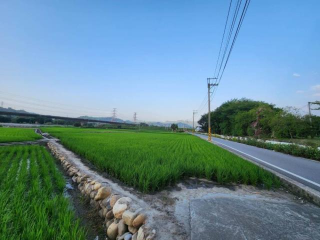 草屯農地-7