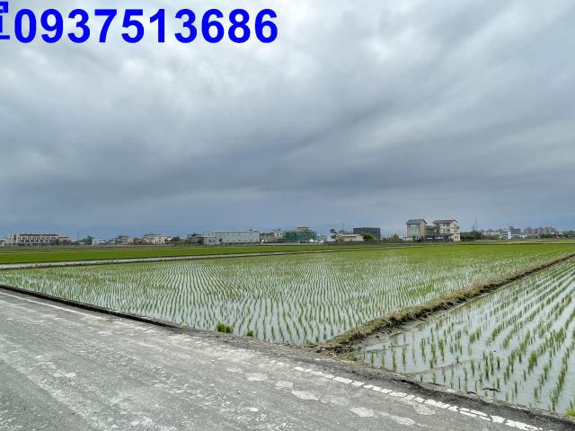 宜蘭宜蘭市農地-1