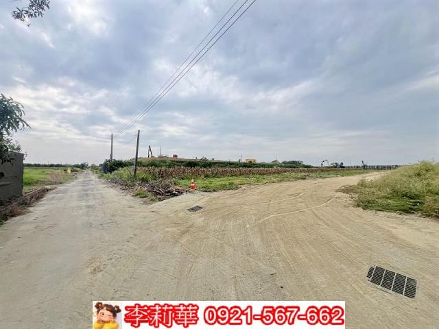 麻豆農地-3