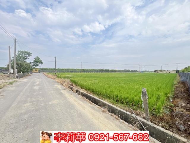 麻豆農地-6