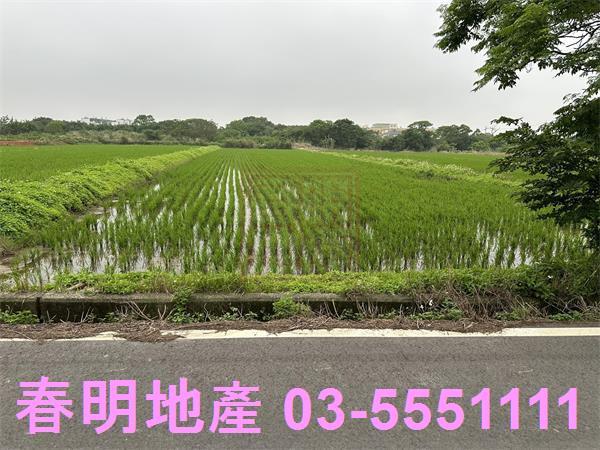 新豐農地-3
