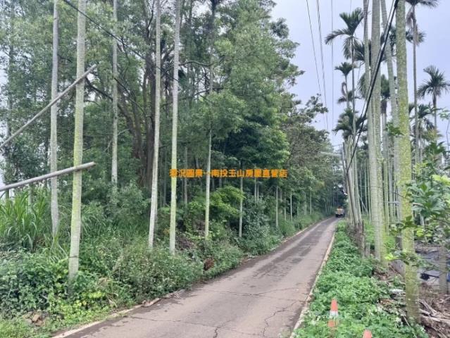 南投農地-1