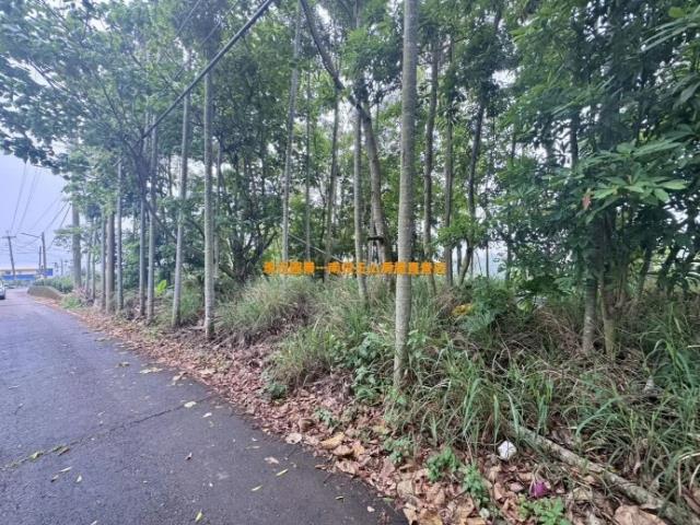 南投農地-5