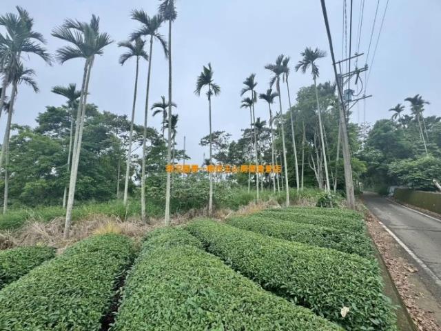 南投農地-6