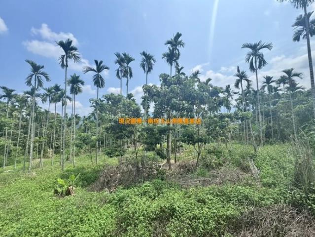 南投農地-2