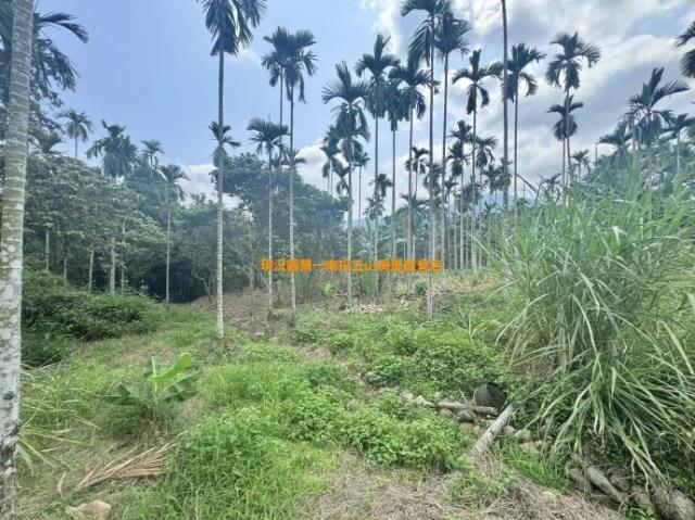 南投農地-5