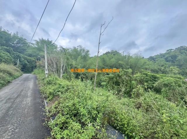 南投山坡地-4