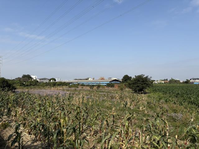 台南永康農地-2