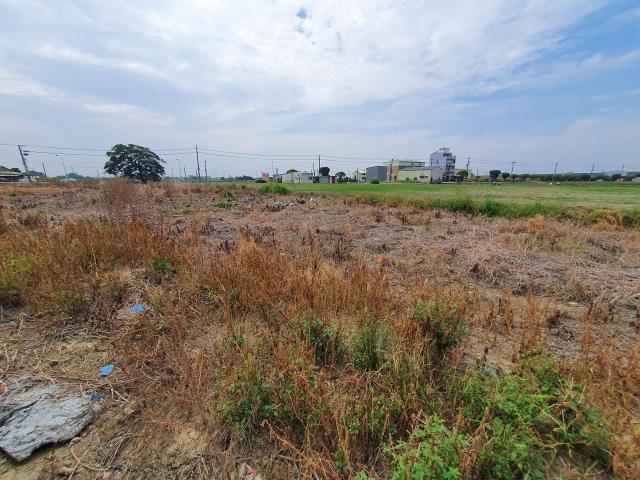 台南官田農地-2