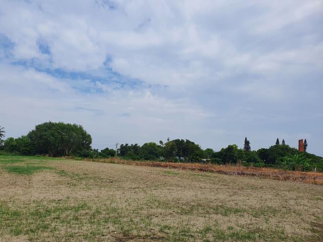 台南官田農地-5
