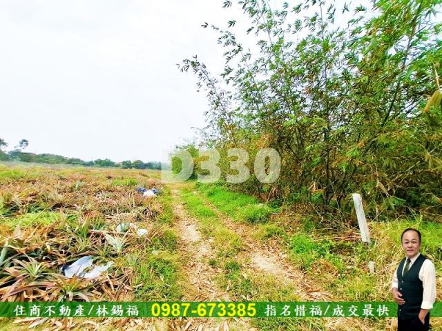 歸仁農地-10