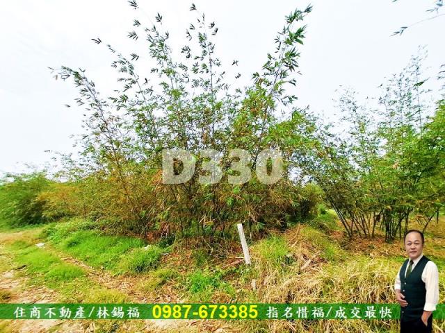 歸仁農地-9