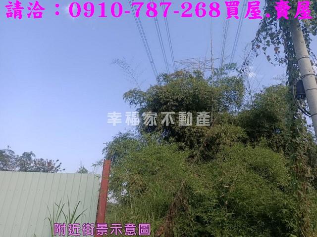 左鎮農地-11