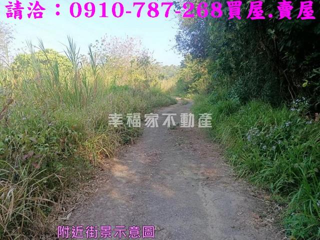 左鎮農地-3