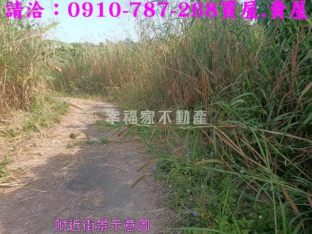 左鎮農地-4