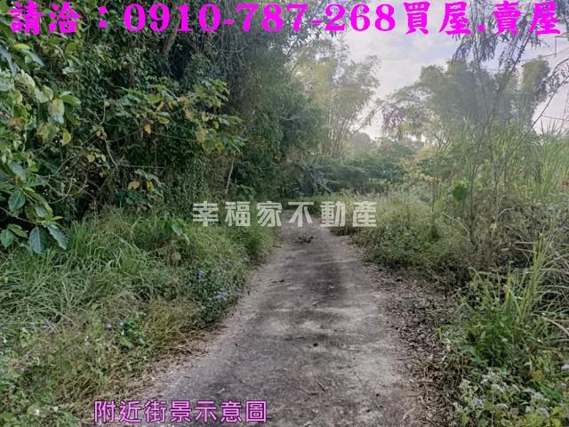左鎮農地-5