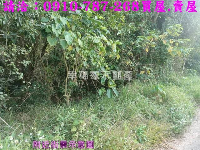 左鎮農地-7