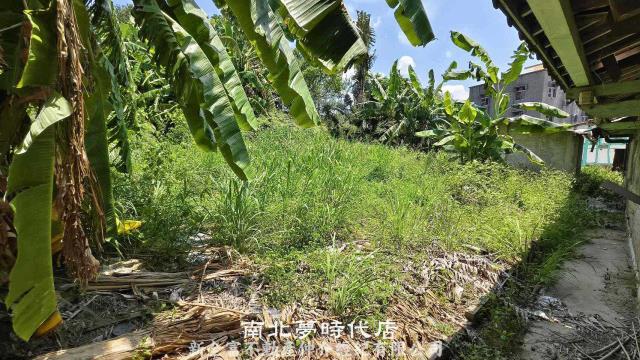 台南農地-2