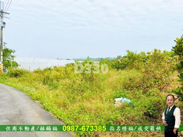 玉井農地-4