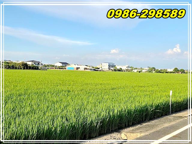 台南新營農地-10