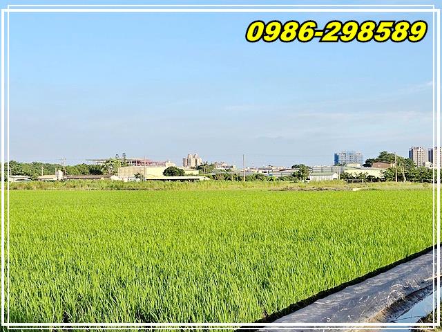 台南新營農地-9