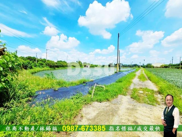 台南農地-6