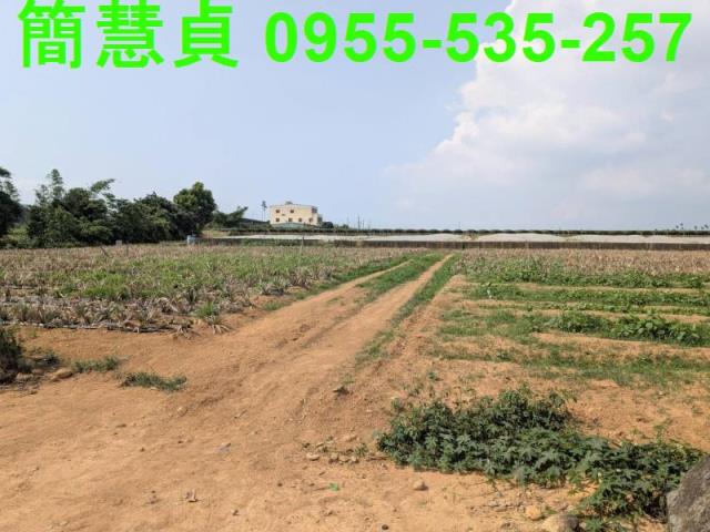 名間農地-1