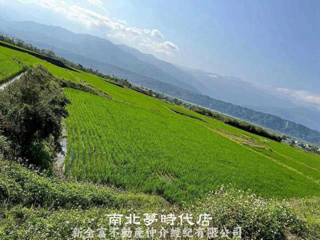 玉里農地-1