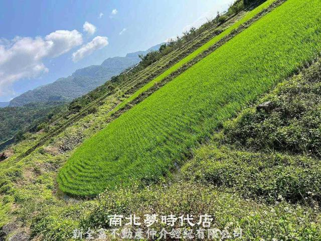 玉里農地-3