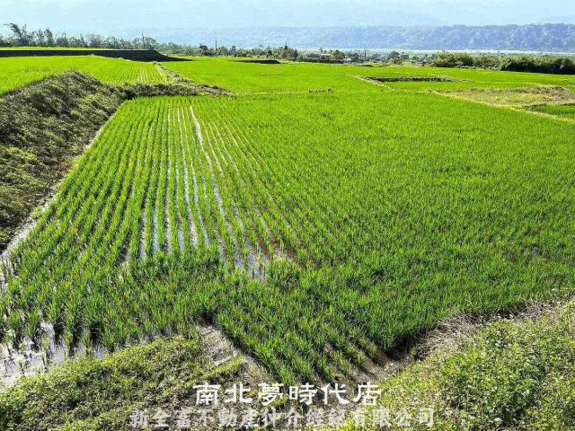 玉里農地-6