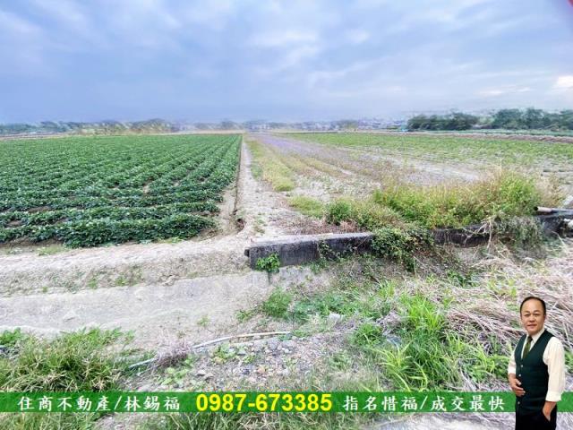 台南農地-2