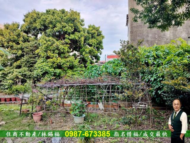 台南佳里建地-7