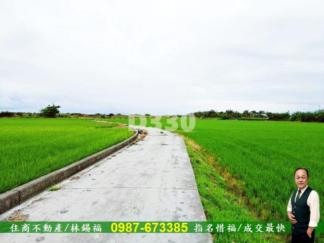 台東市農地-4