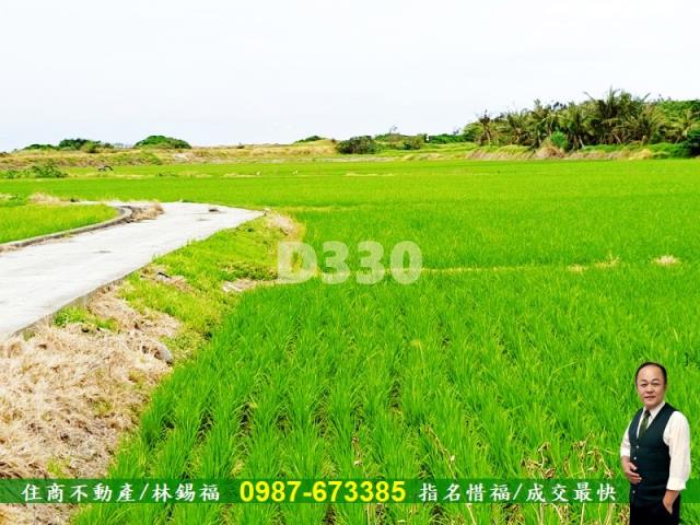 台東市農地-5