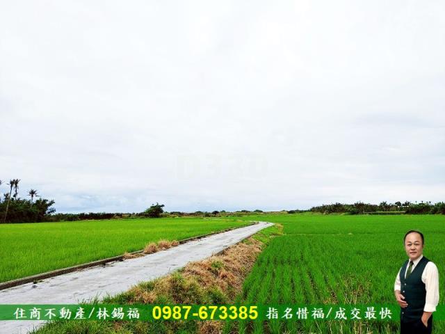 台東市農地-6