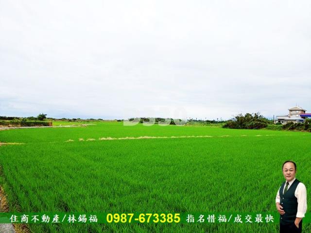 台東市農地-9